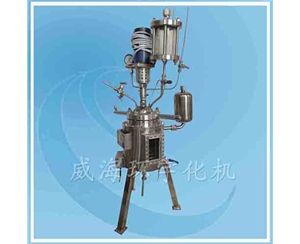 上海Visible Glass Reactor