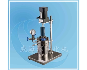 上海GSA型實驗高壓反應釜