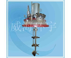 上海0.5L Four-broad-blade paddle+disk turbine mixer