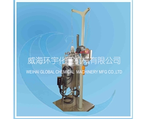 上海40L Lifting Reactor