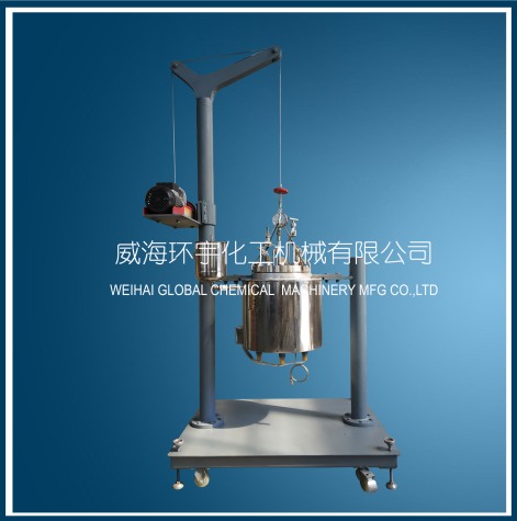 上海10L Lifting Reactor without Mixer