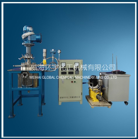 上海2L Reactor with Visual Glass & Metering Pump