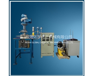 上海2L Reactor with Visual Glass & Metering Pump