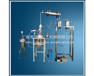 上海10L Customized Reactor System