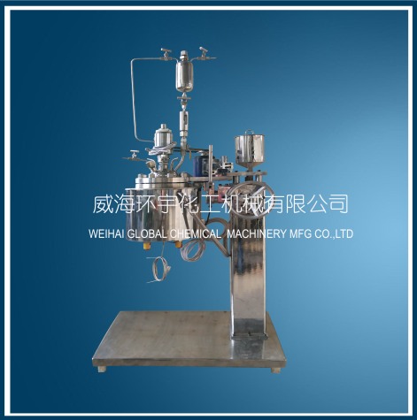 上海2L Vacuum Distillation Reactor with Lifting Device