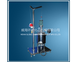 上海30L Lifting Reactor