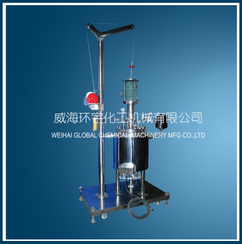 上海30L Lifting Reactor