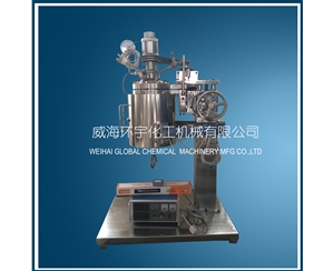 上海5L Lifting Reactor with Quick Open Device