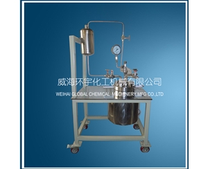 上海Stainless Steel High Pressure Reactor with Feeding Tank