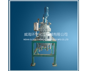 上海Jacket Heating Reactor