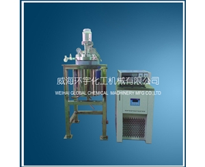 上海5L high pressure low temperature reactor