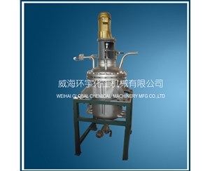 上海100L stainless steel with High boron glass reactor