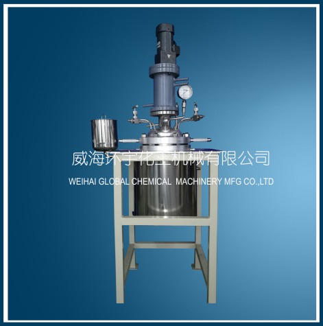 上海GSH-10L Stainless Steel Reaction Tank