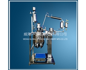 上海5L Vacuum Distillation Reactor with Lifting Device